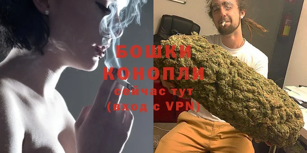 тгк Бронницы